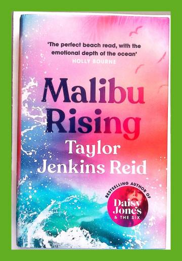 Malibu Rising