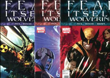 Fear Itself: Wolverine #1 Sep - #3 Nov 11 (whole miniseries)