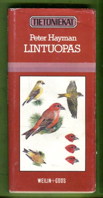 Lintuopas