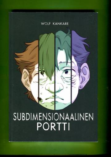 Subdimensionaalinen portti